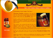 Custom website developed and designed by Virtual Splat for a Chutney business