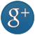 Icon representing Google+