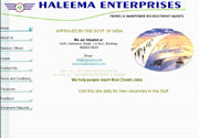 Haleema Enterprises - E-Commerce Website Development and Maintenance by Virtual Splat