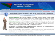 Meridian-Management - E-Commerce Website Development and Maintenance by Virtual Splat