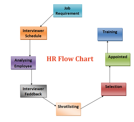 HR Flowchart for HR Management Software by Virtual Splat